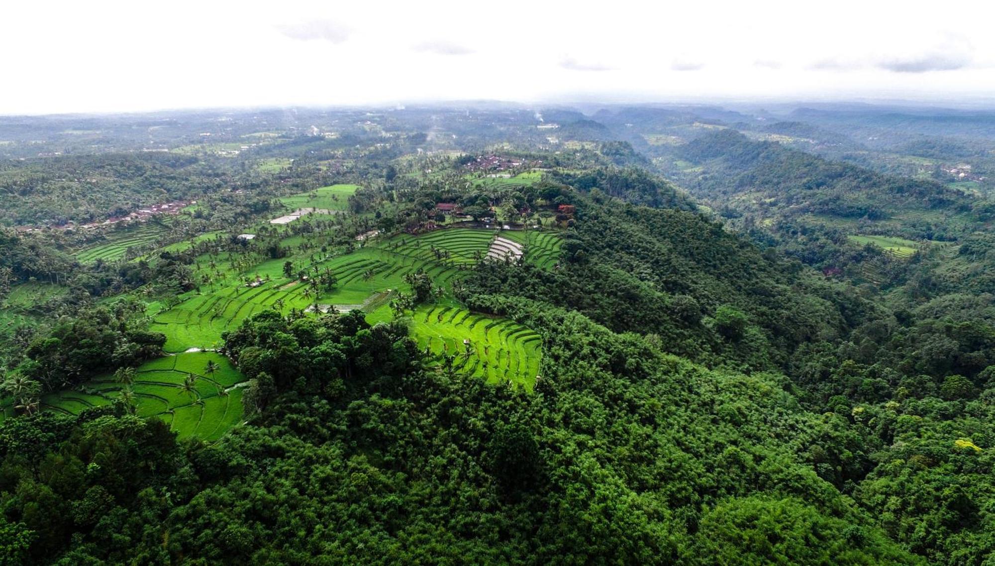 Ijen Resort And Villas - The Hidden Paradise Бануванги Екстериор снимка