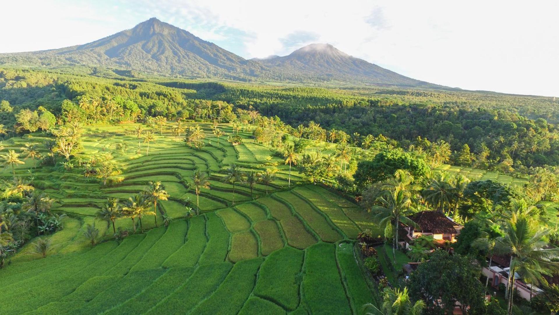 Ijen Resort And Villas - The Hidden Paradise Бануванги Екстериор снимка