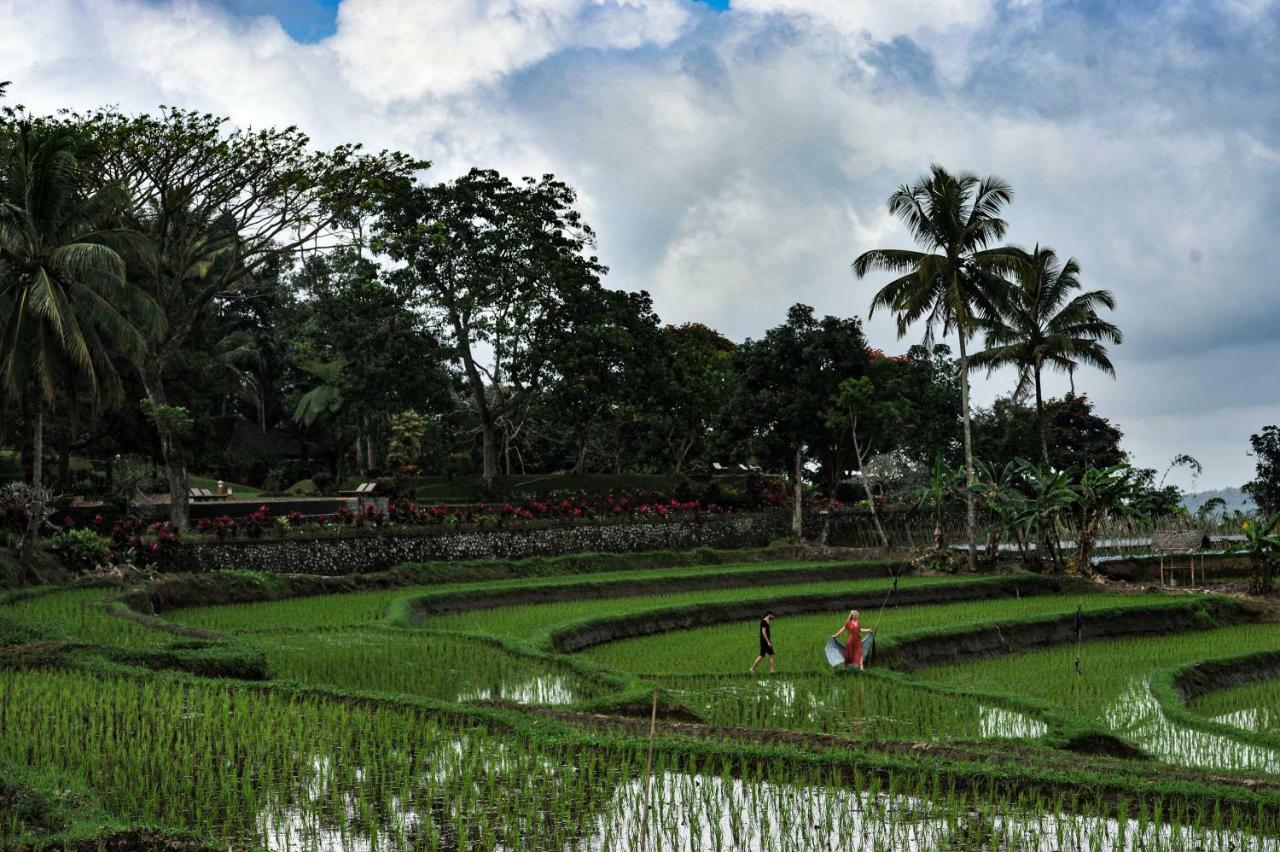 Ijen Resort And Villas - The Hidden Paradise Бануванги Екстериор снимка